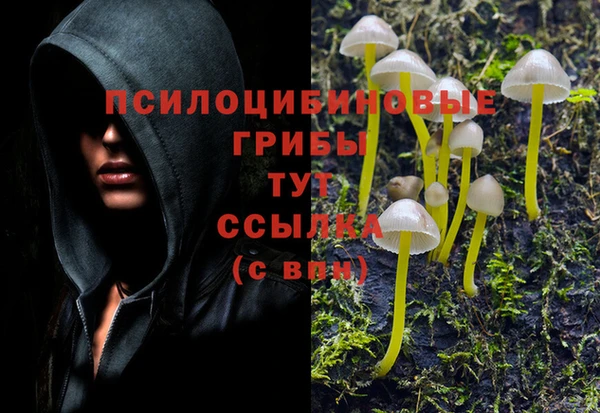 ALPHA PVP Балахна