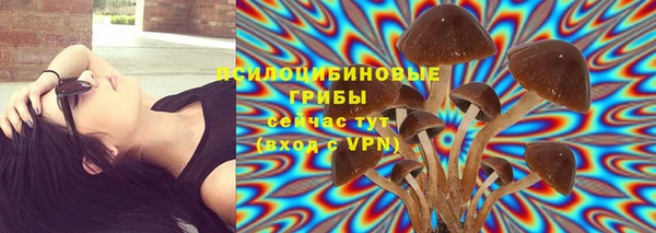 ALPHA PVP Баксан