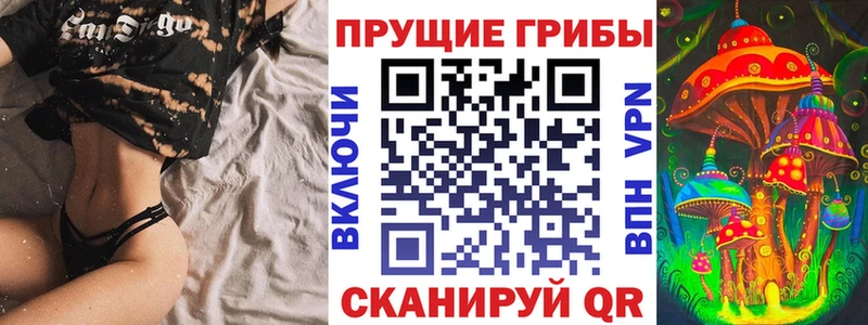 Псилоцибиновые грибы Psilocybe Луховицы